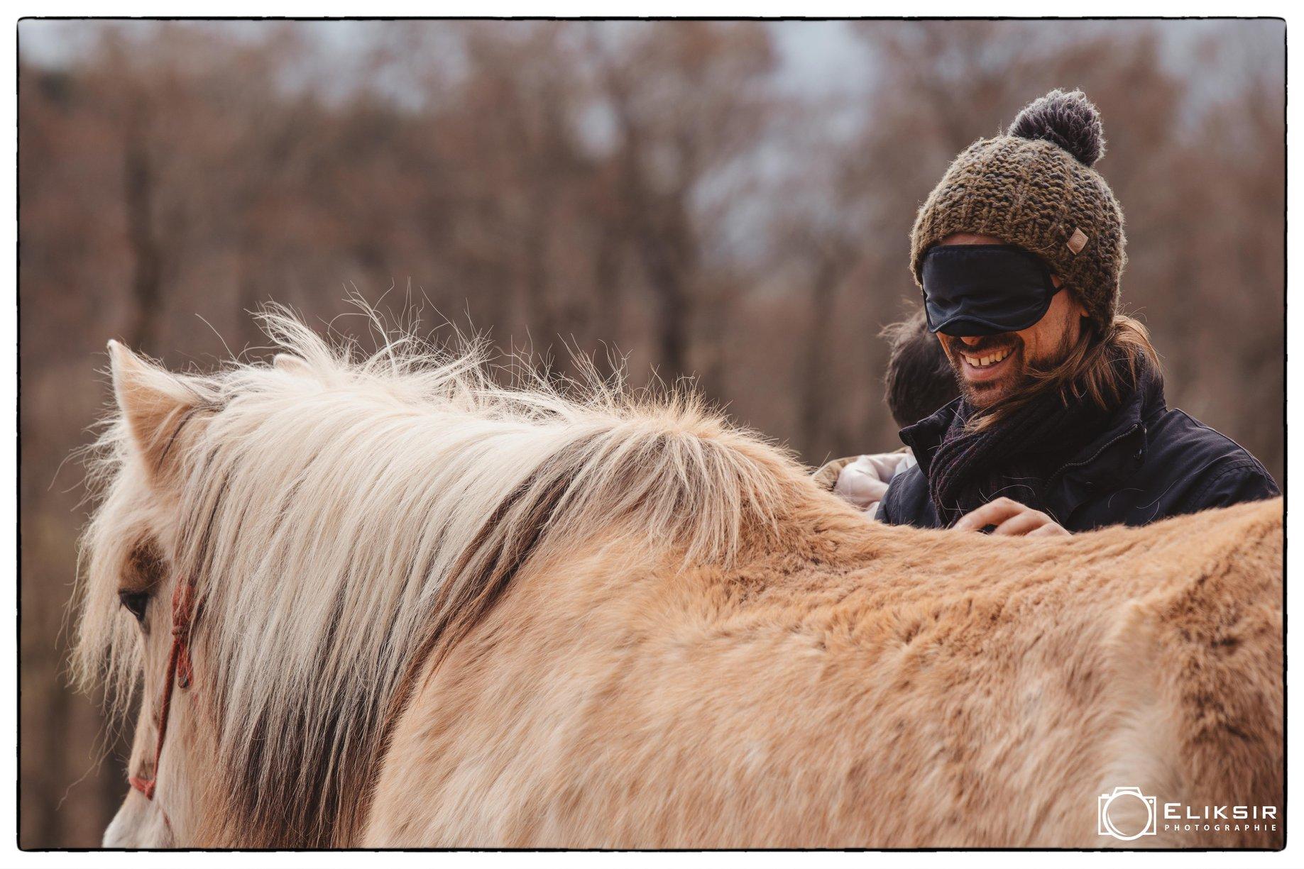 Baniere mediation equine