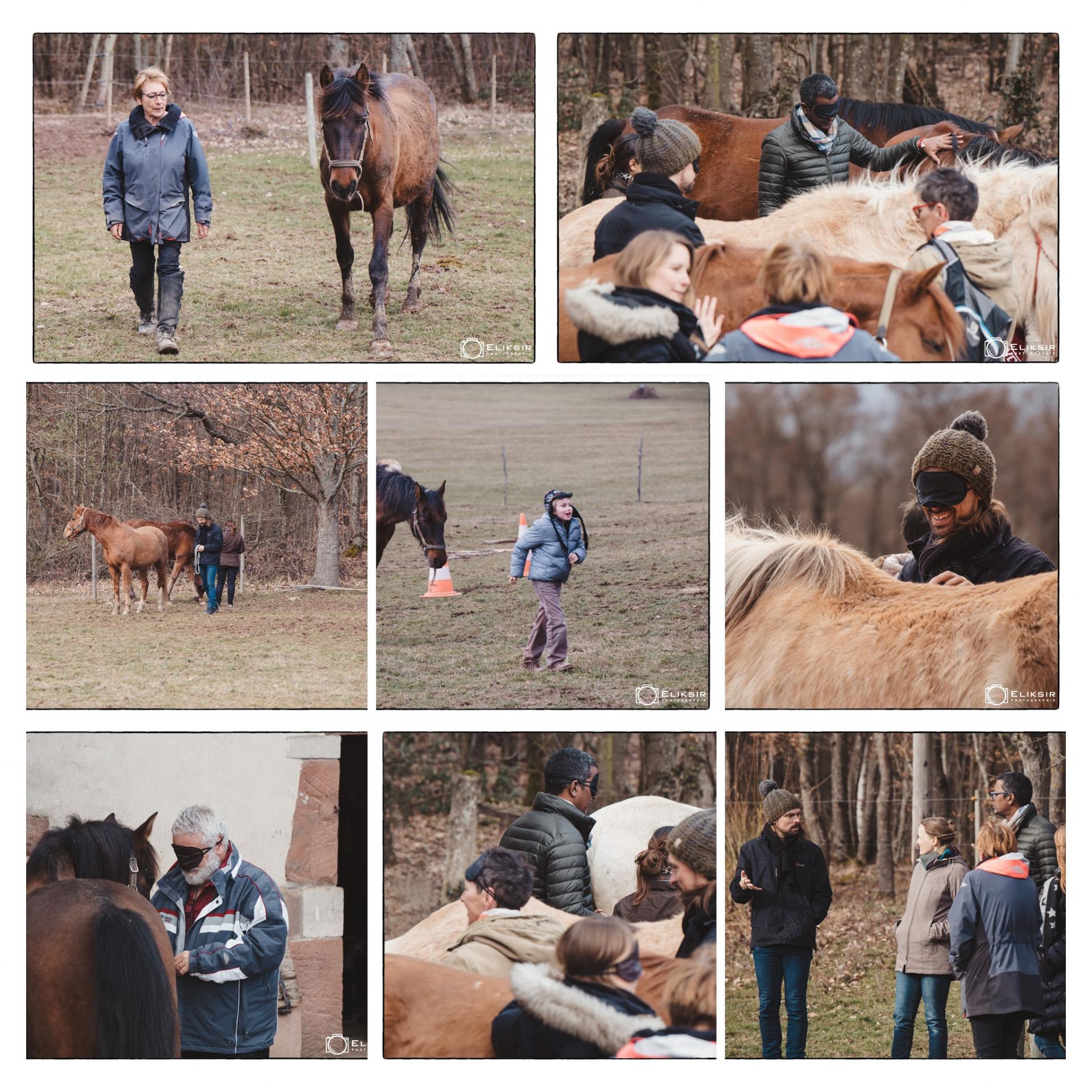 Montage gpe equi